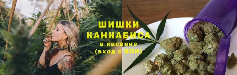 Бошки Шишки планчик  Волчанск 